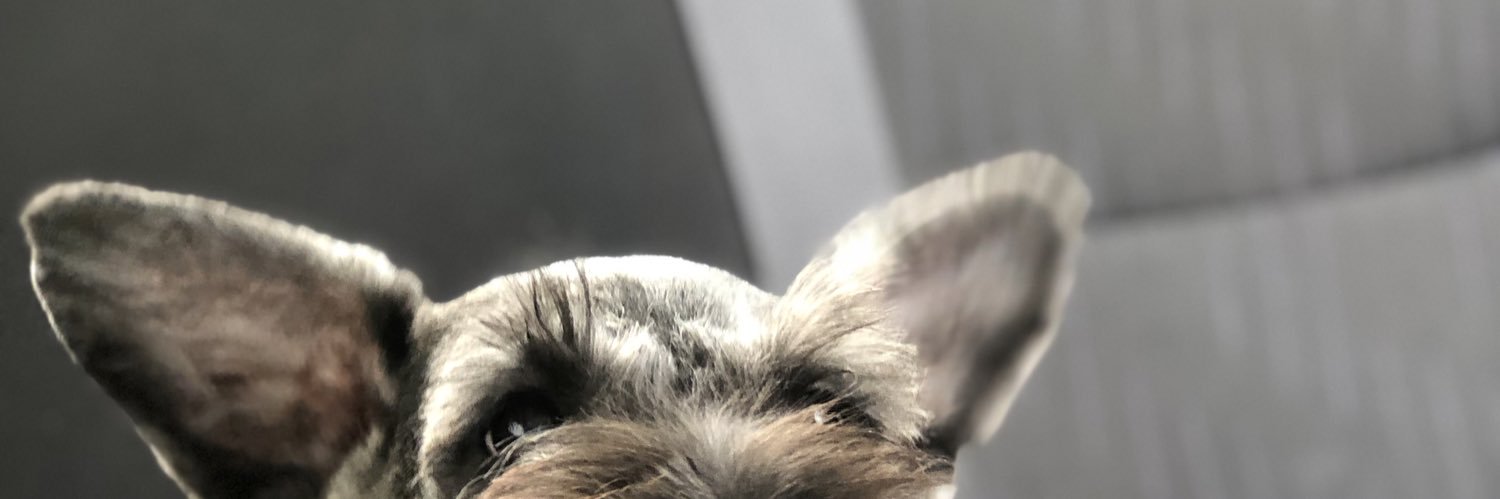 paurdzc's profile banner image