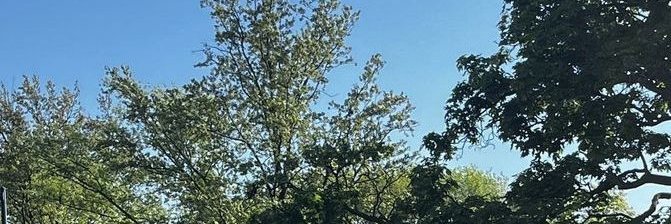 sahucyz's profile banner image