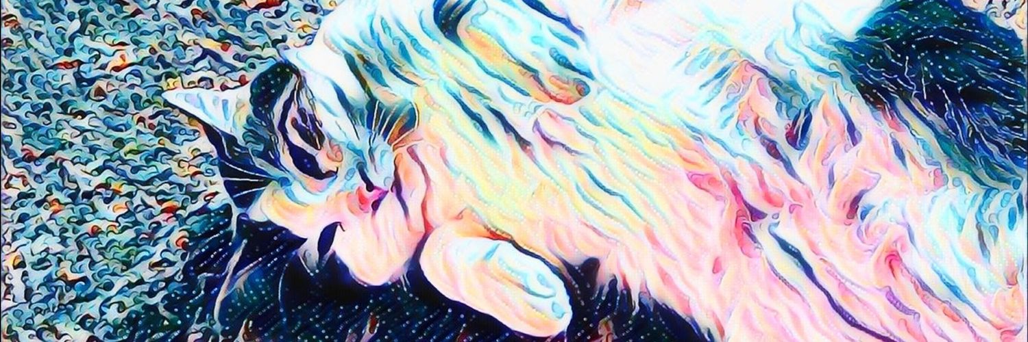 Cat_Treasures's profile banner image