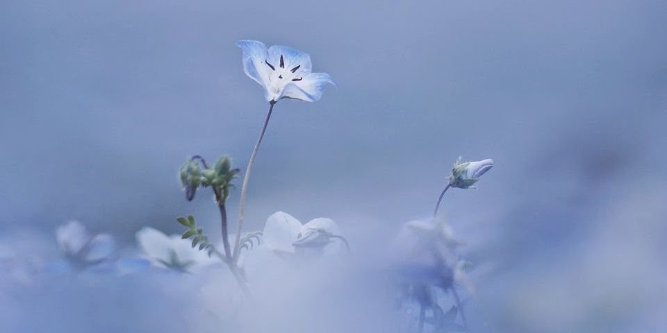 kaushal967's profile banner image