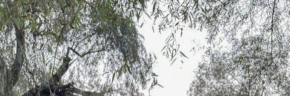 rizgid's profile banner image