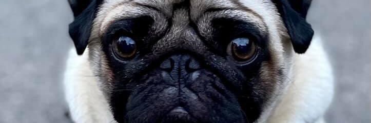 KazxdScot's profile banner image