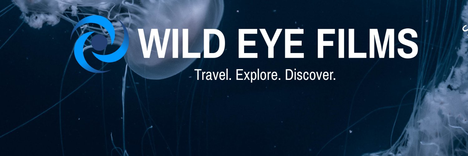 GuireXDan1's profile banner image