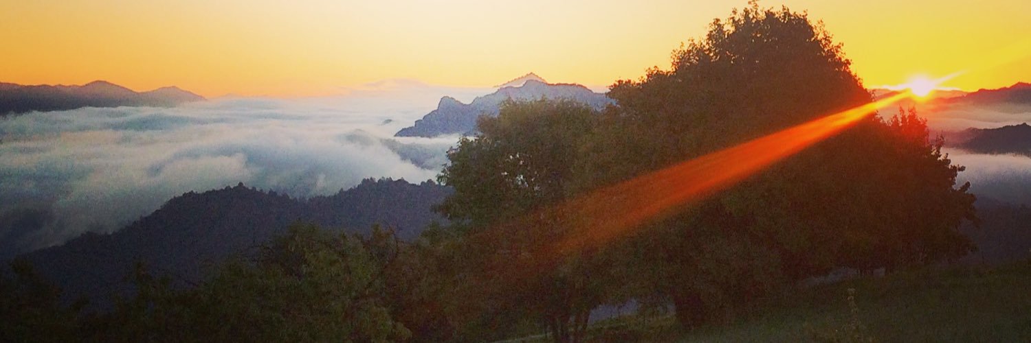 TarragonaDavid's profile banner image