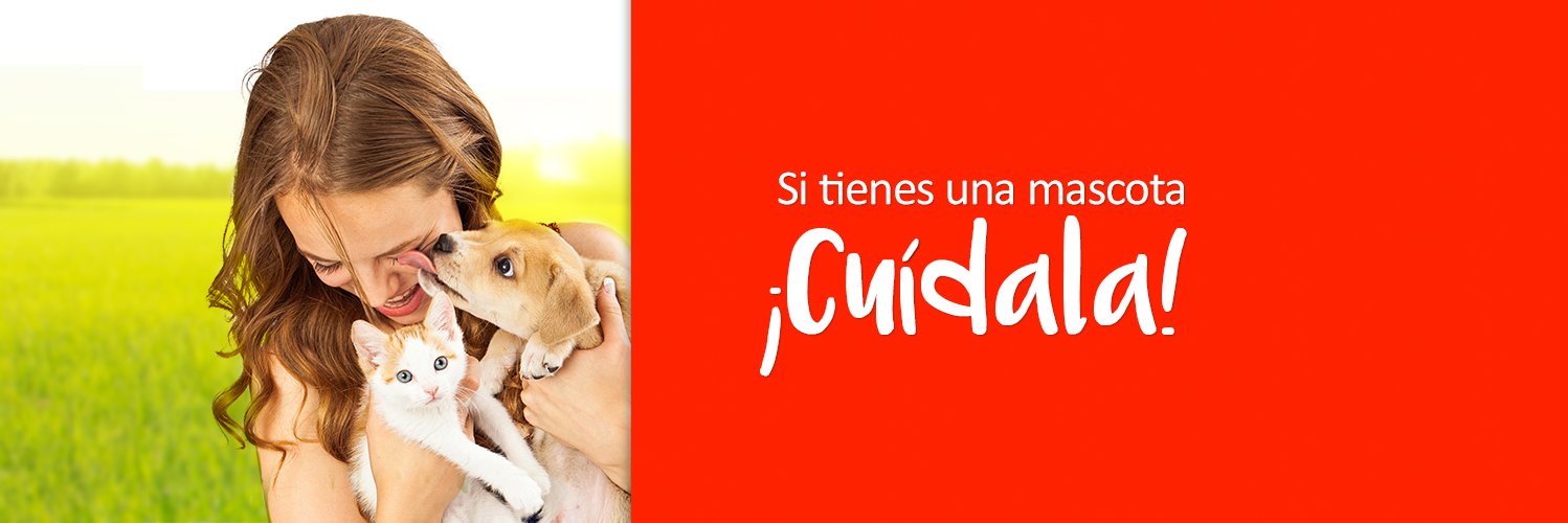 Purina México banner