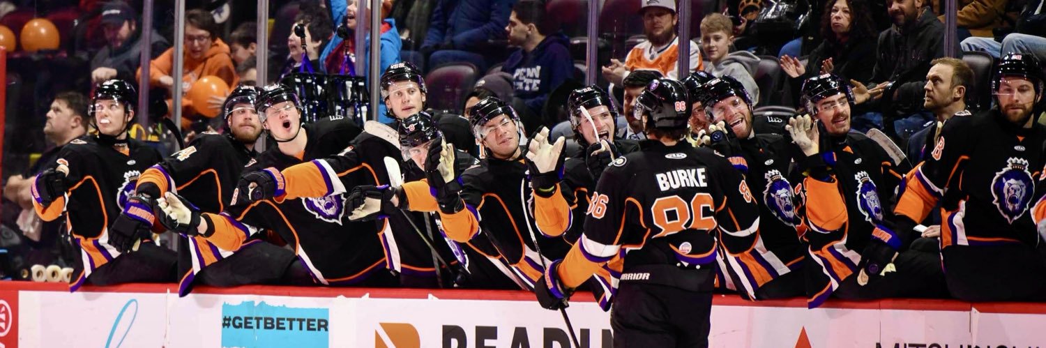 Reading Royals banner