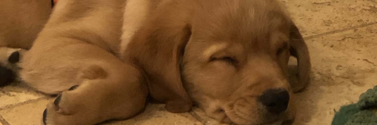 Crazy Mary🆘 banner