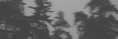 michaelcgdrx's profile banner image