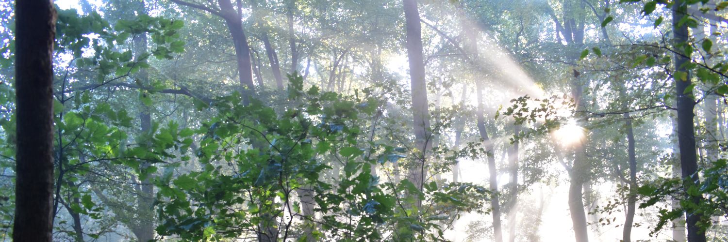 JamesonMercier's profile banner image