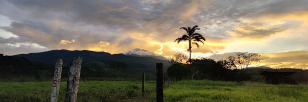 EdinerFuentes Profile Banner