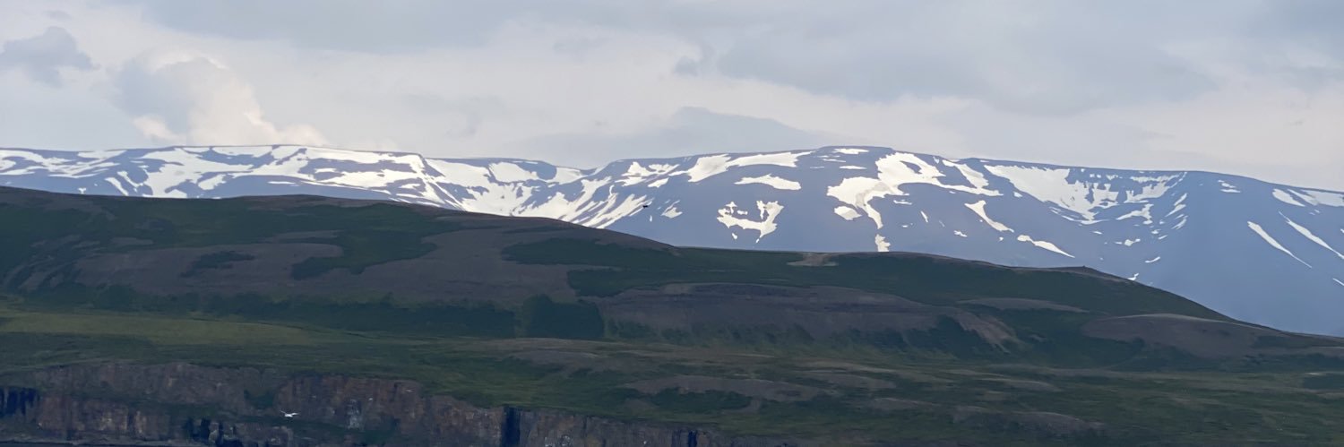 edel__weiss's profile banner image