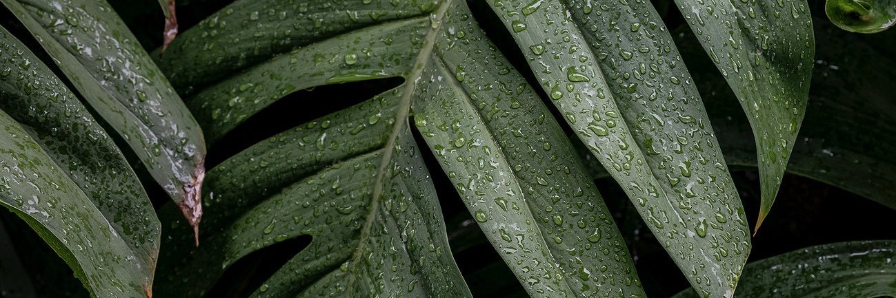 zh5067's profile banner image