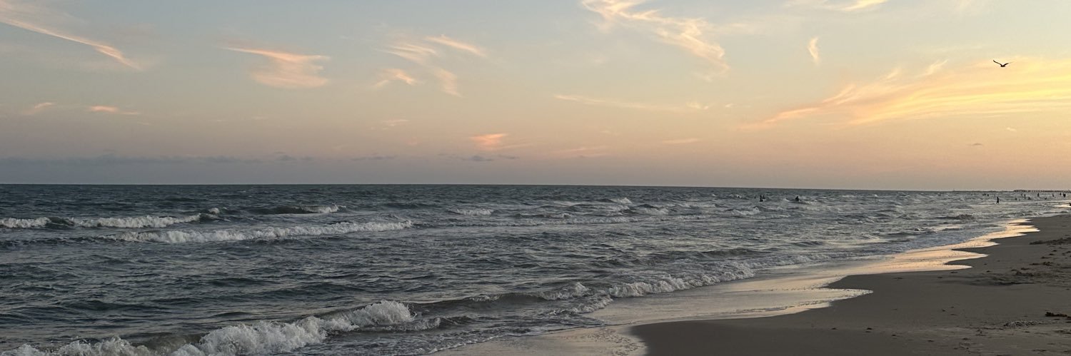 alliieswift's profile banner image