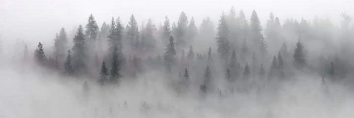 Dubfluss's profile banner image