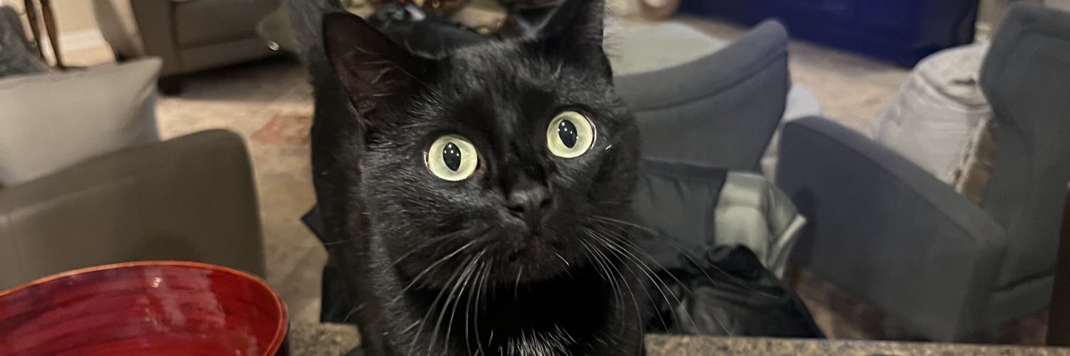 greynobbbb's profile banner image