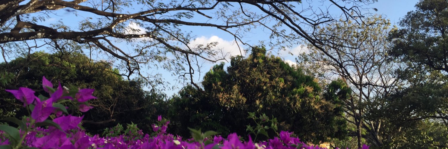 Ela Marifé! banner