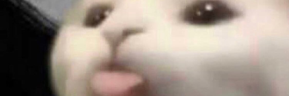 pumpkin69_'s profile banner image