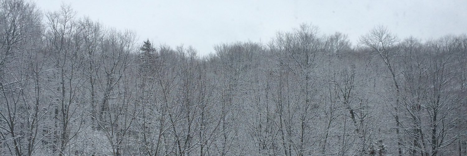 Josuetc94's profile banner image