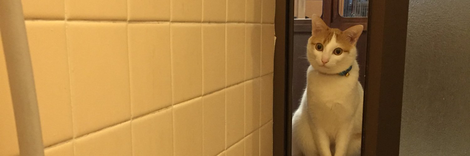 miyako_mae's profile banner image