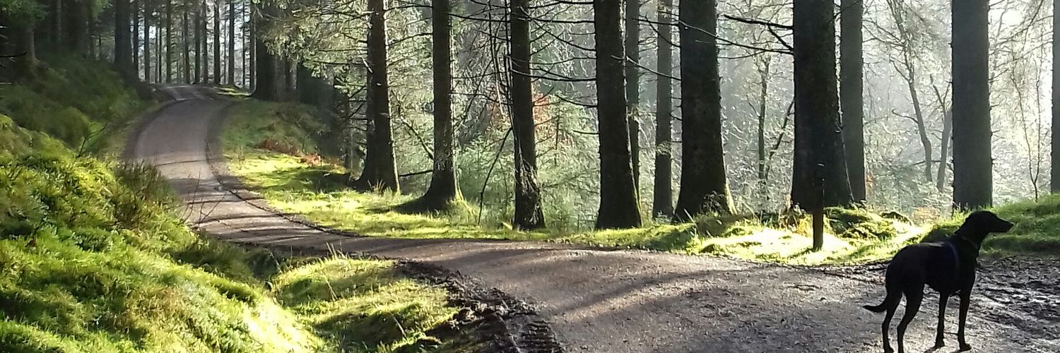 David Maxwell banner