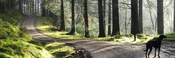 VGdavidM Profile Banner