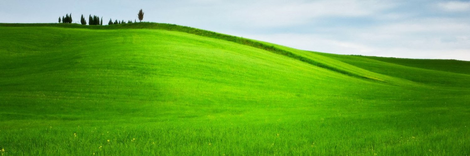 NotoriousB_I_T's profile banner image
