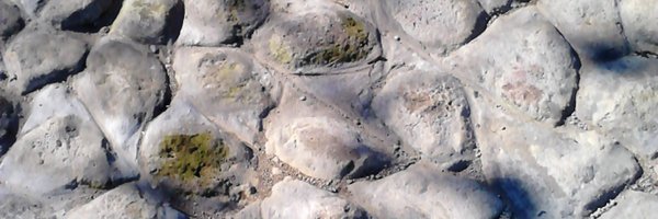 NenadicVesna Profile Banner