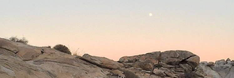 ClemmonsAnna's profile banner image
