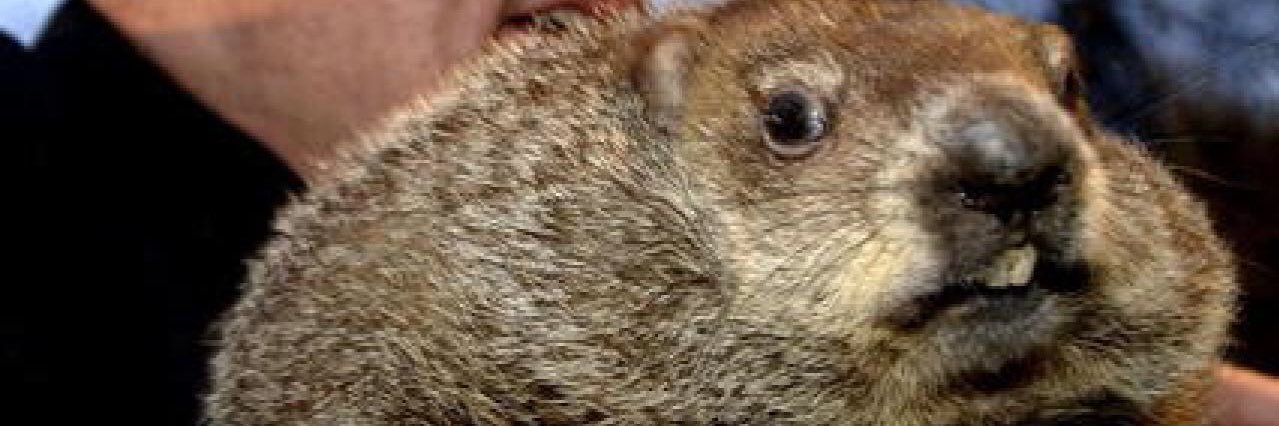 jillian_hindman's profile banner image