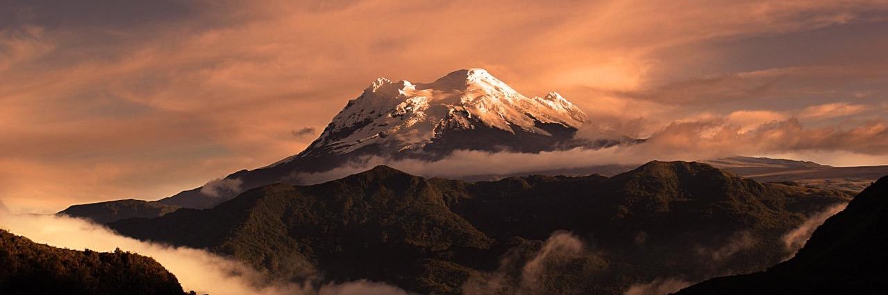 Cristina Borja banner