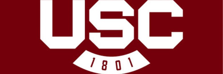 Shogun of Harlem banner