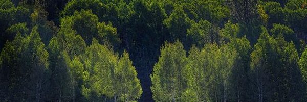 clegleiter Profile Banner