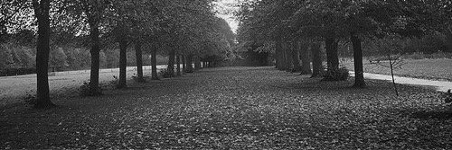 httphaynes's profile banner image