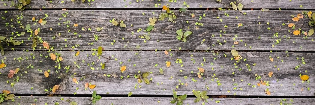 ColleenBarb7's profile banner image