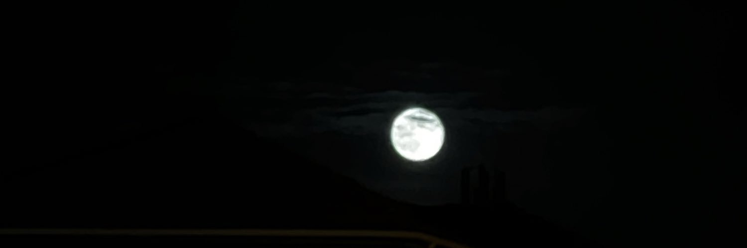 lilfantxme's profile banner image