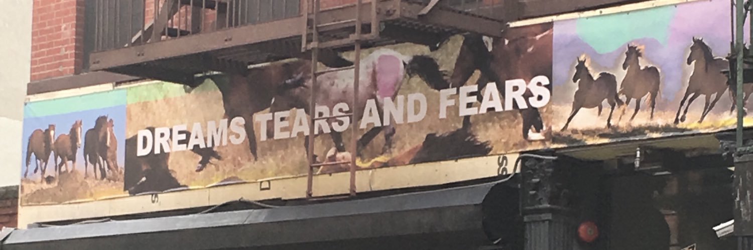 Ari banner
