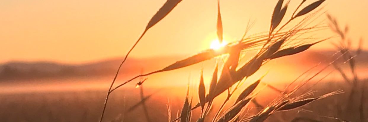 efetack's profile banner image