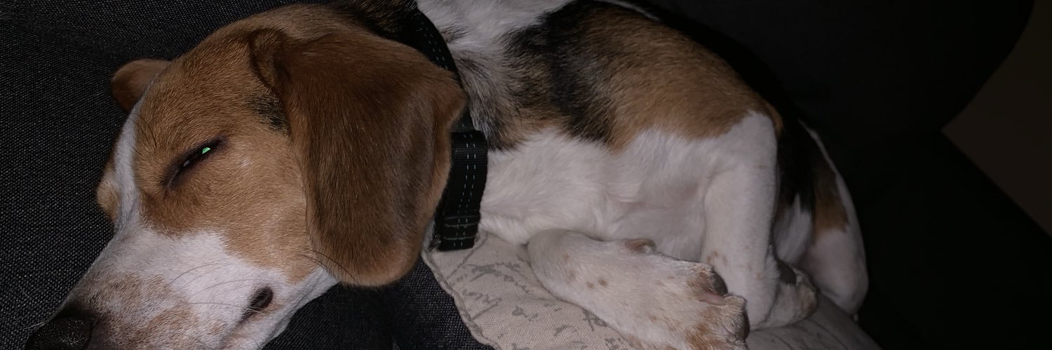 mtstebick's profile banner image