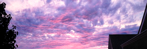 tomlinsondngdr's profile banner image