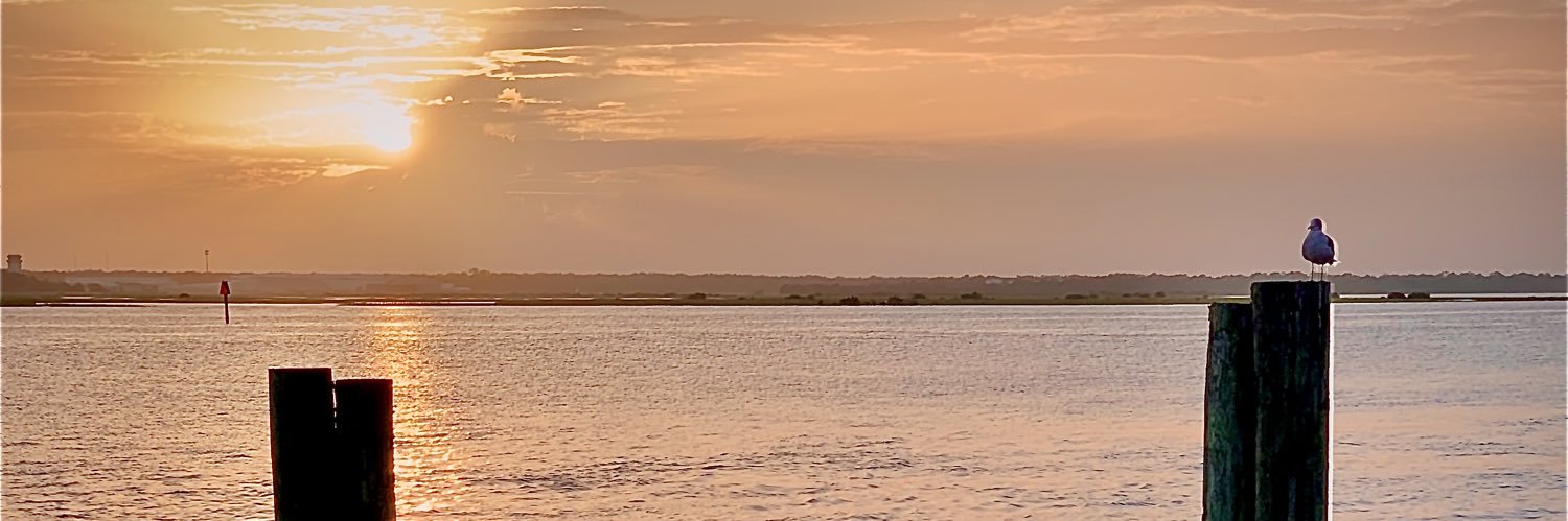 David5305's profile banner image
