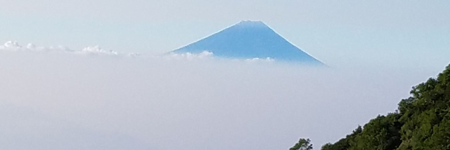 1yljqc's profile banner image