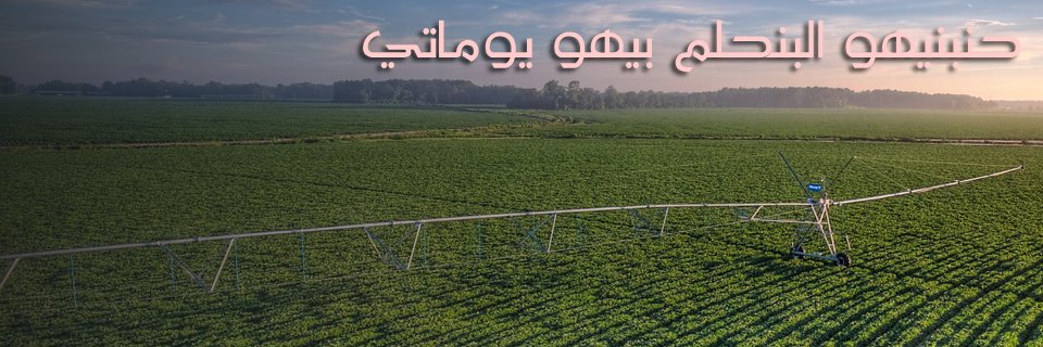 Osama Al Awad banner