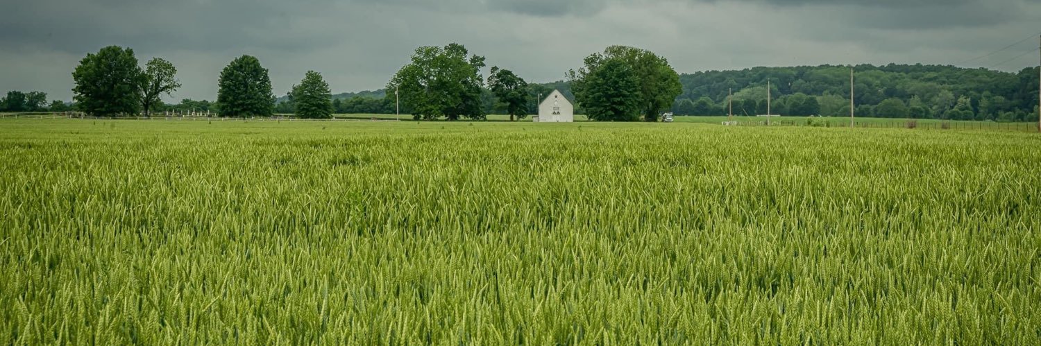 LBennettBerry's profile banner image