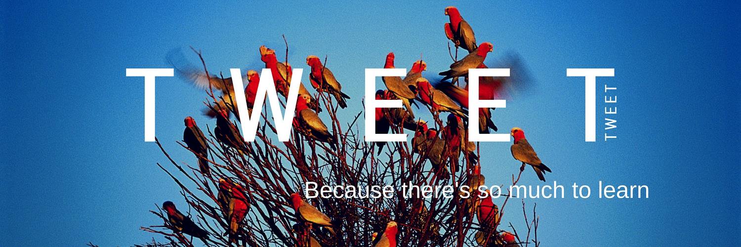 Cathern Lethbridge banner