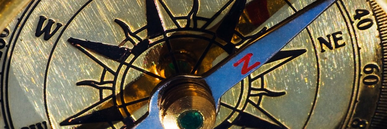 jodistout's profile banner image