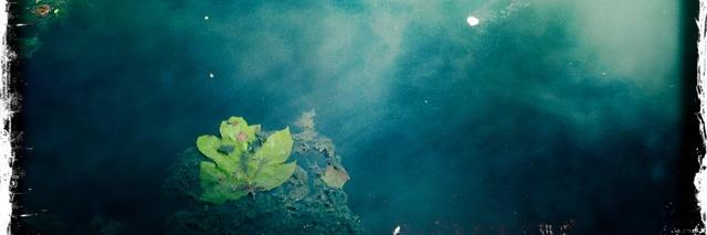 MischaIpp's profile banner image