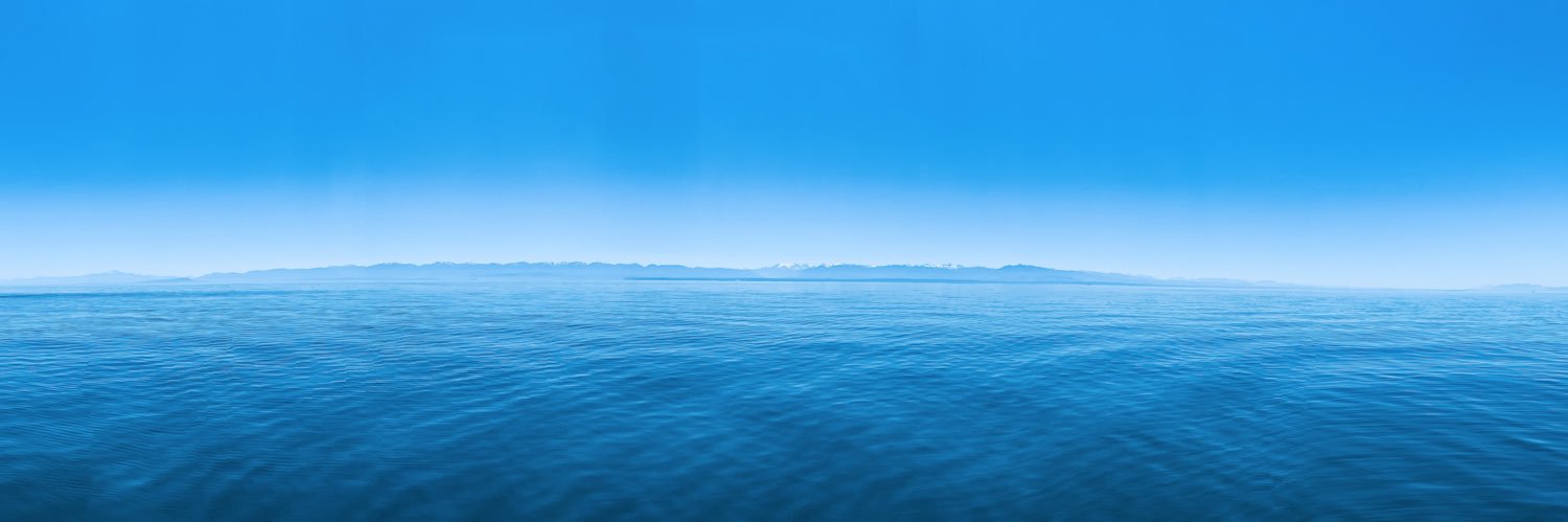 claricoast's profile banner image