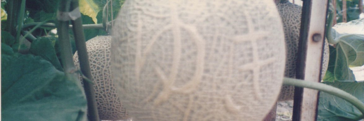 yuki60246's profile banner image