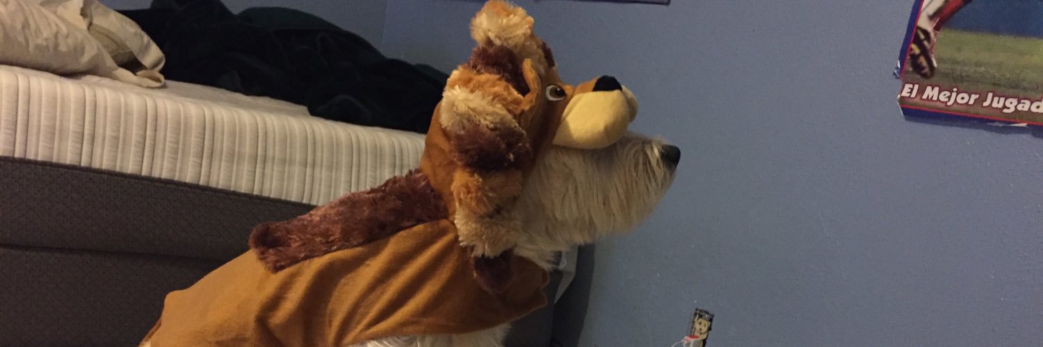 Pakuchhh's profile banner image