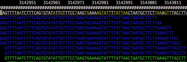 Samtools Team banner